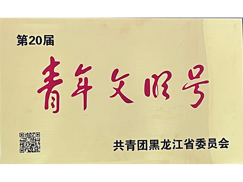 省級青年文明號